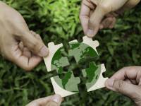 Executives Are Facing Pressure to Lead on Sustainability. Here’s How Business Schools Are Preparing Them.